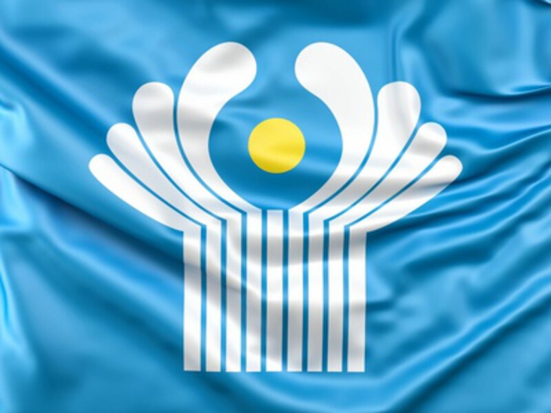 Доля расчетов в нацвалютах на пространстве СНГ достигла 96%