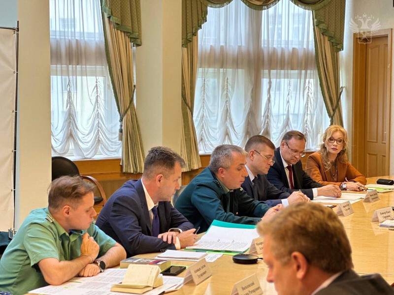 В ФТС России состоялось заседание Стратегического комитета цифровой трансформации