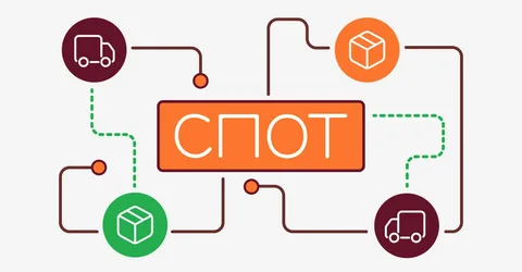 ФТС: Система СПОТ уже работает бесшовно