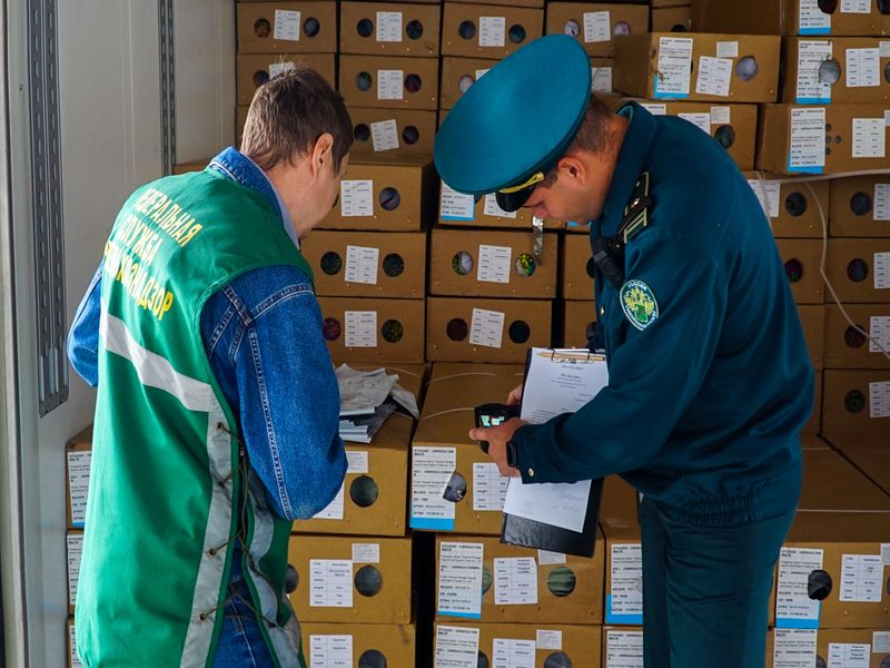 К 2028 году товарооборот России с некоторыми странами АСЕАН может вырасти на 30-50%