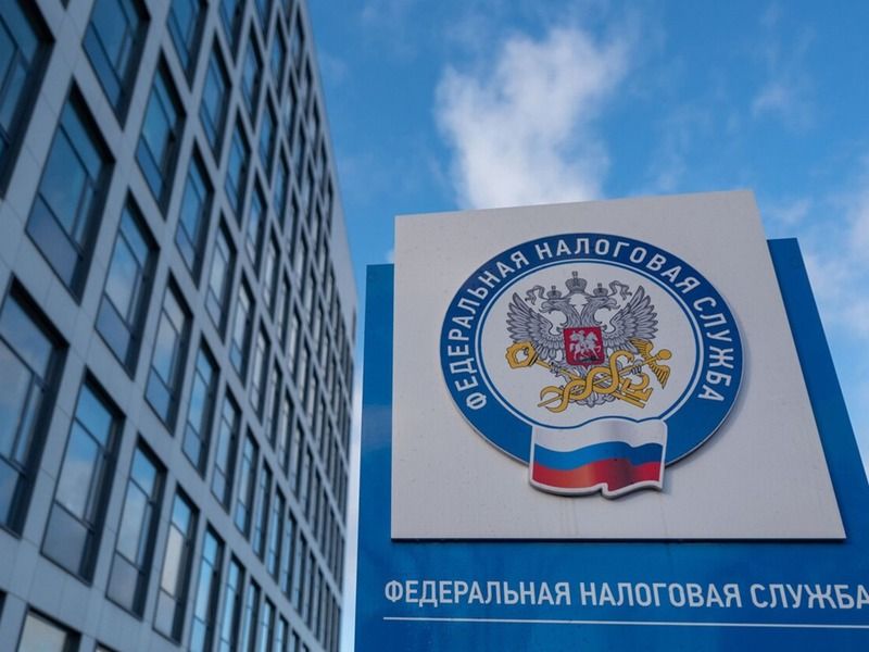 ФНС разъяснила основные ошибки при заполнении ДОПП