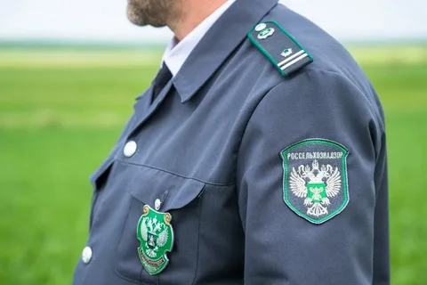 Россельхознадзор назвал условие для возобновления импорта товаров из Армении